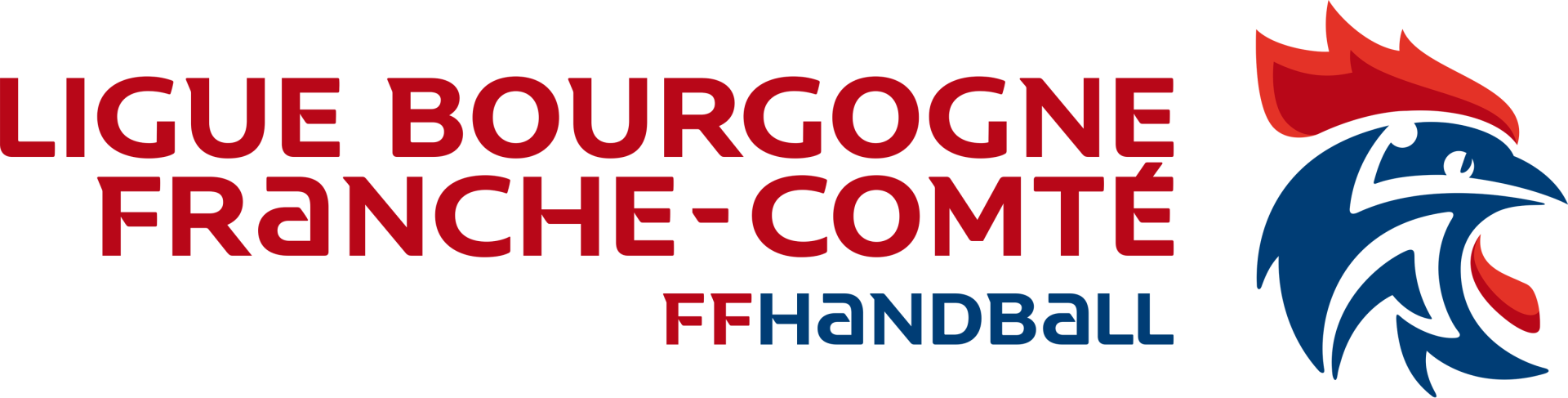 Cropped logoliguebfc